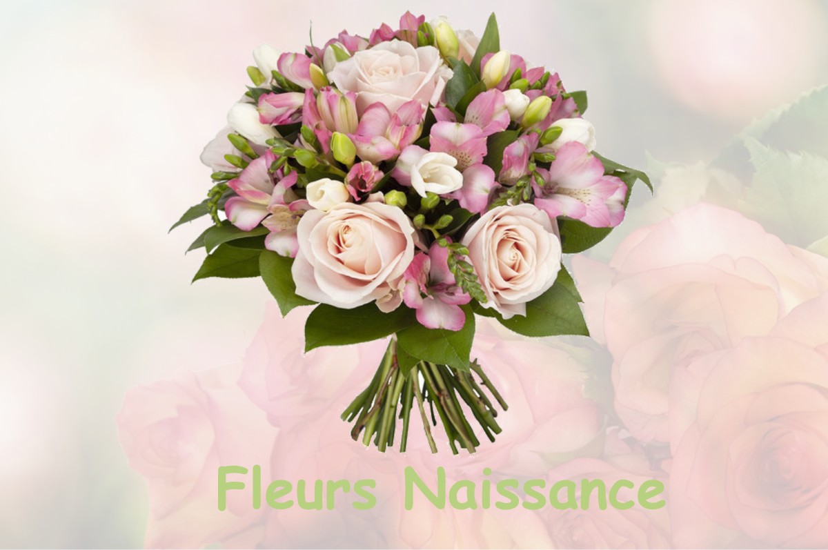 fleurs naissance POMAREZ