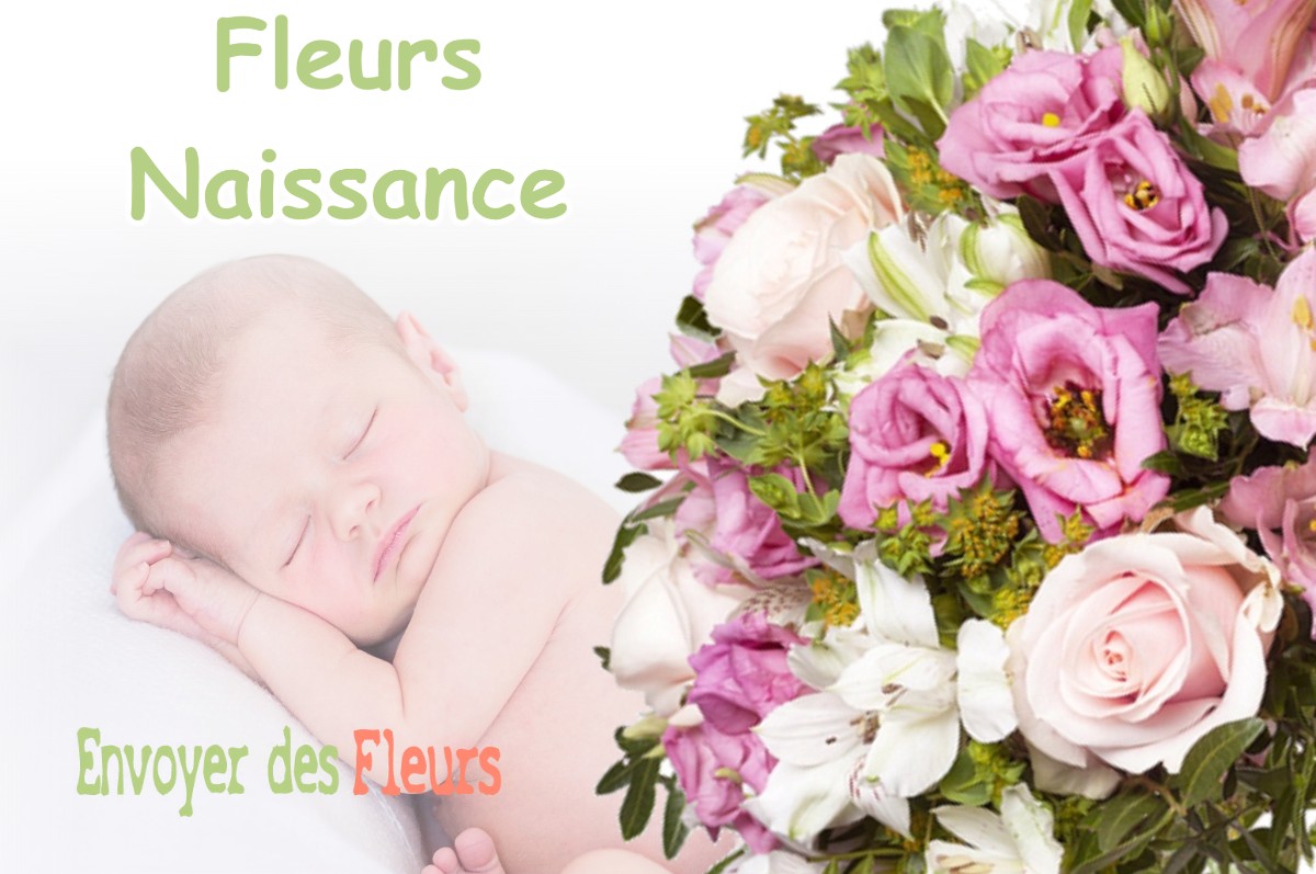 lIVRAISON FLEURS NAISSANCE à POMAREZ